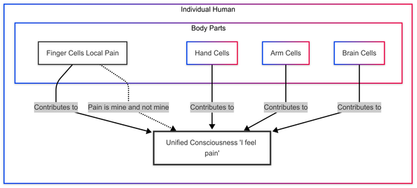 The Paradox of Ownership: How Your Pain Belongs to You and Not to You